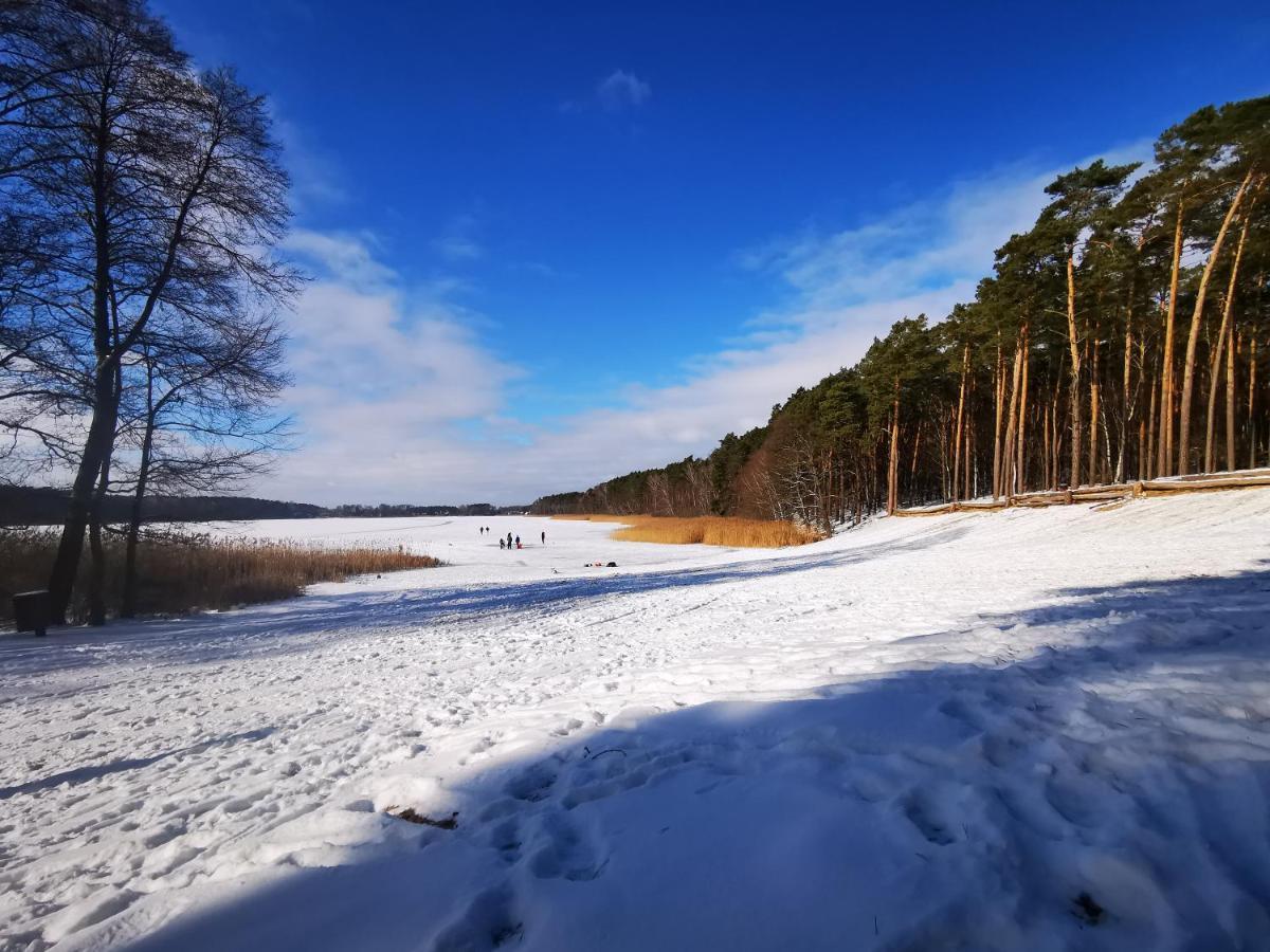 Zielona Holiday home